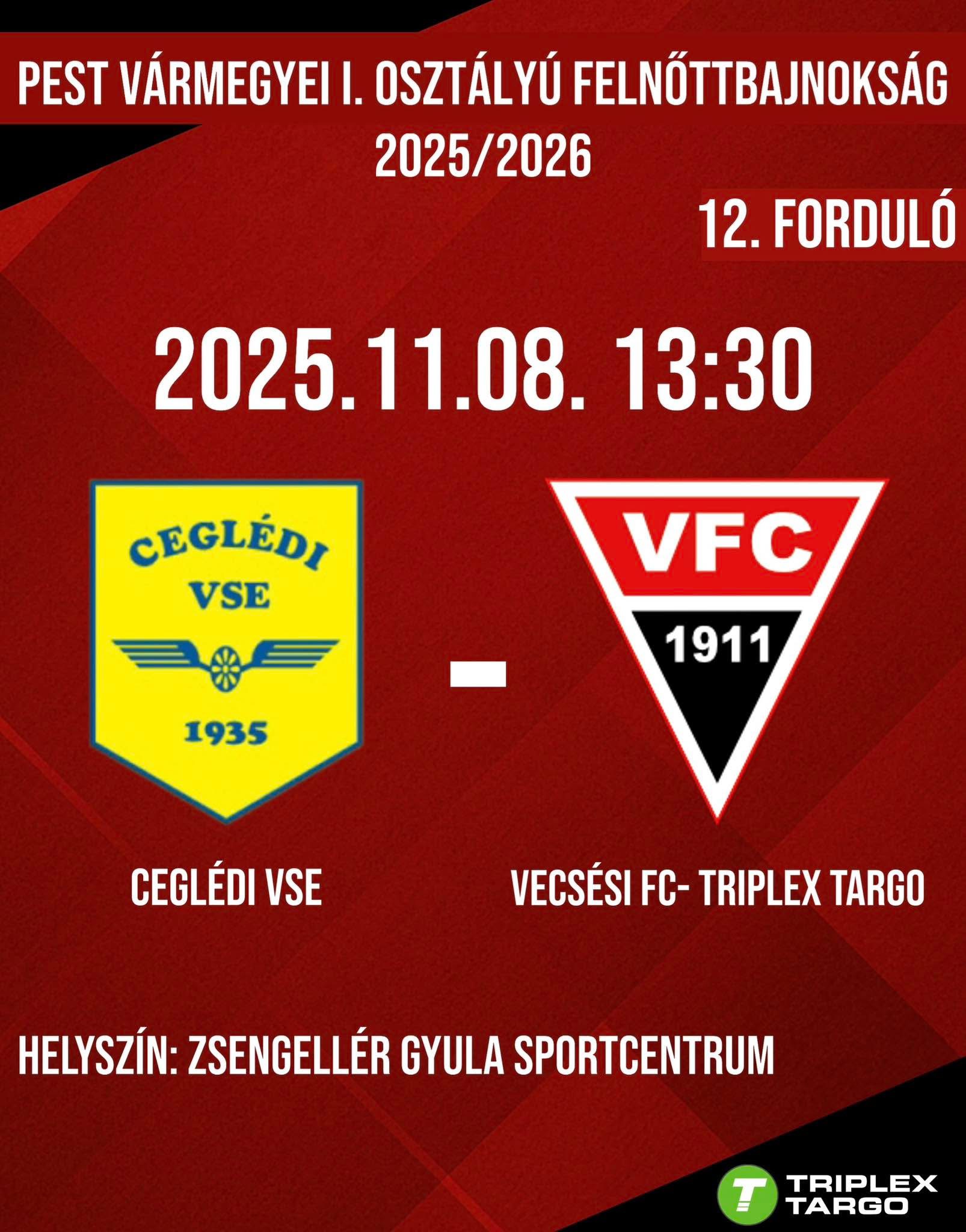 Pest Vármegyei I. Osztályú Felnőttbajnokság